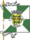 Flag of Vila Real