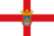 Flag of Tudela