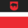 Flag of Leczna