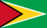 Flag of Guyana