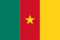 Flag of Cameroon