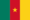 Flag of Cameroon