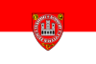 Flag ofSopron