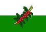 Flag ofLa Celia 