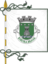 Flag ofRibeira Brava