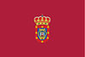 Flag ofCiudad Real