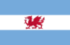 Flag ofPuerto Mandryn