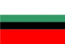 Flag ofDbrowa Grnicza