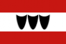 Flag ofTrebic