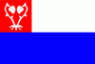 Flag ofNov Msto nad Metuj