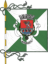 Flag ofAmarante 