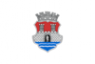 Flag ofPan�evo