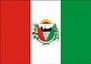 Flag ofUnião dos Palmares