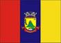 Flag ofCastelo
