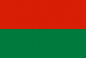 Flag ofCoroico